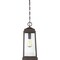 Quoizel Ravenel 1-Light Western Bronze Mini Pendant RNL1508WT - alternate 2